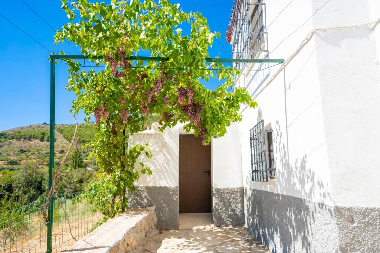 Cortijo El Chopo Almeria Vakantiehuis *